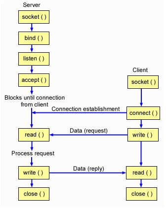 Computer Networks: GATE CSE 2008 | Question: 17